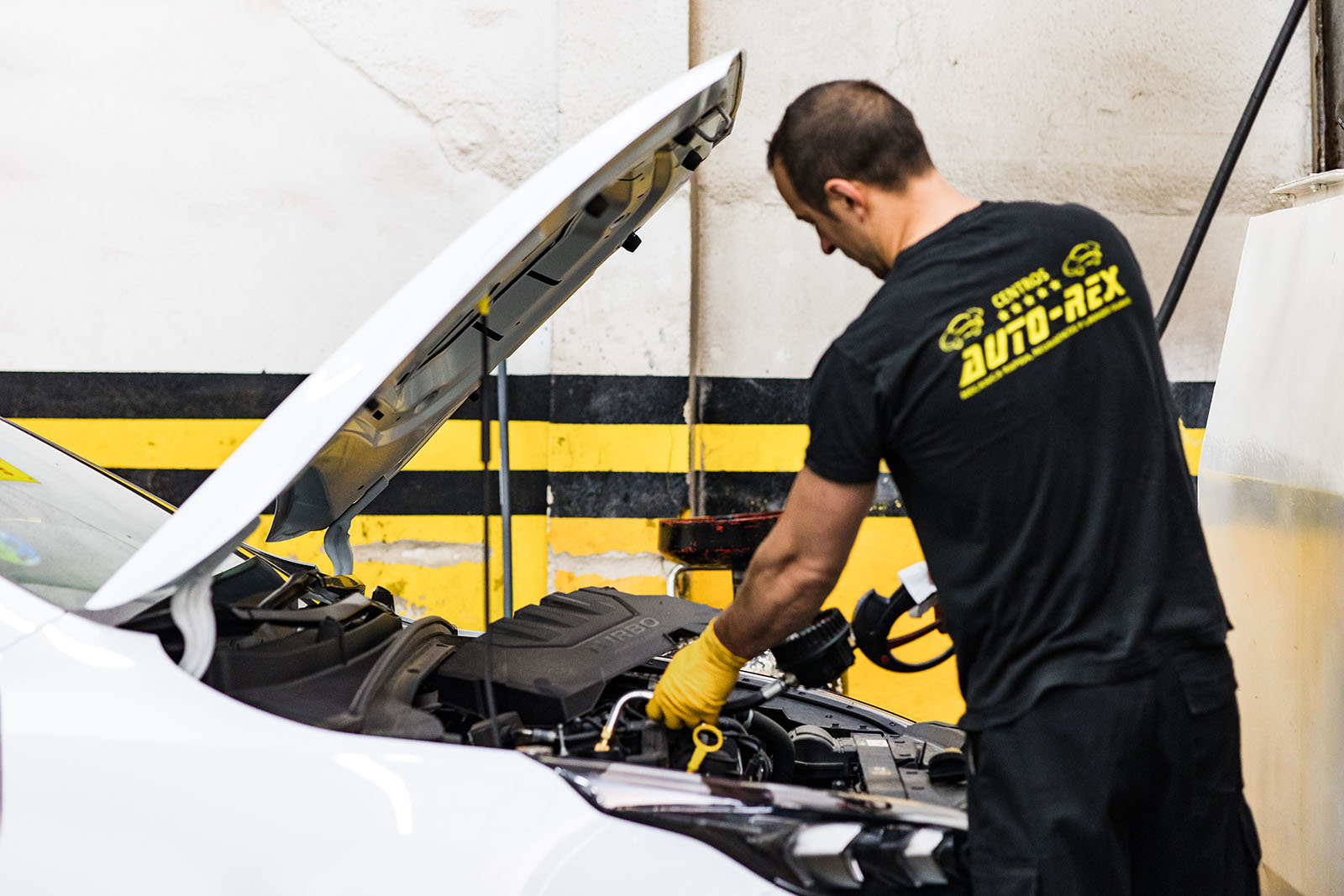 Taller mecánico Auto-Rex